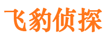 翼城市出轨取证